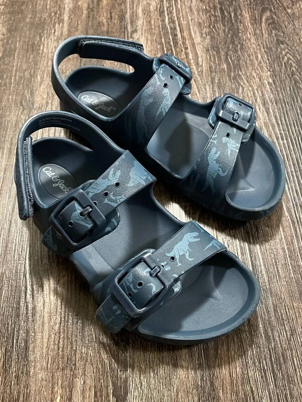 Cat & Jack Dinosaur Sandals 10